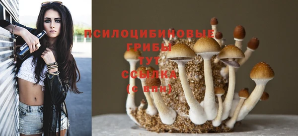 герыч Бугульма