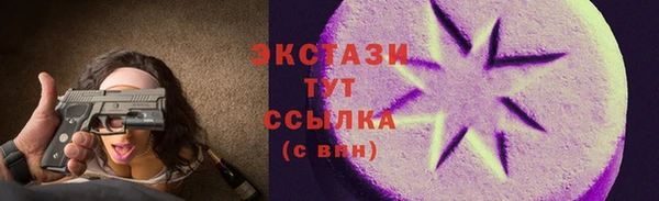 тгк Бородино