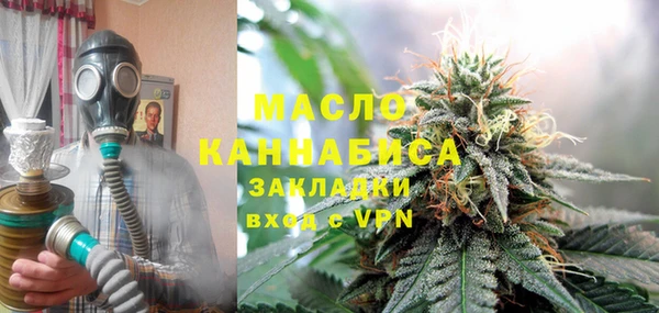 тгк Бородино