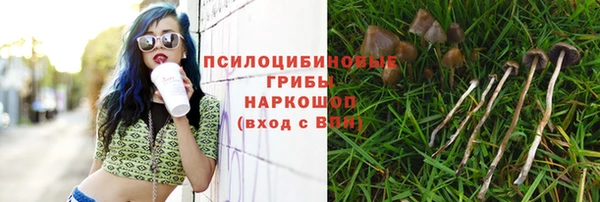 тгк Бородино