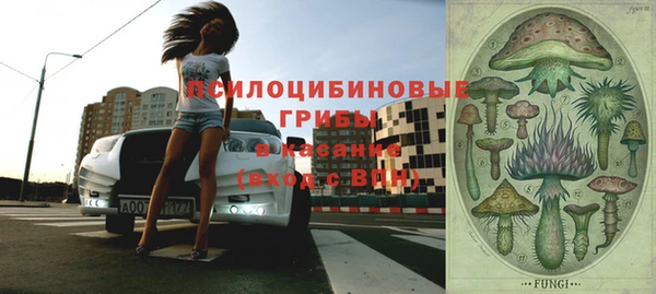 тгк Бородино