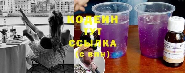эйфоретик Тайга