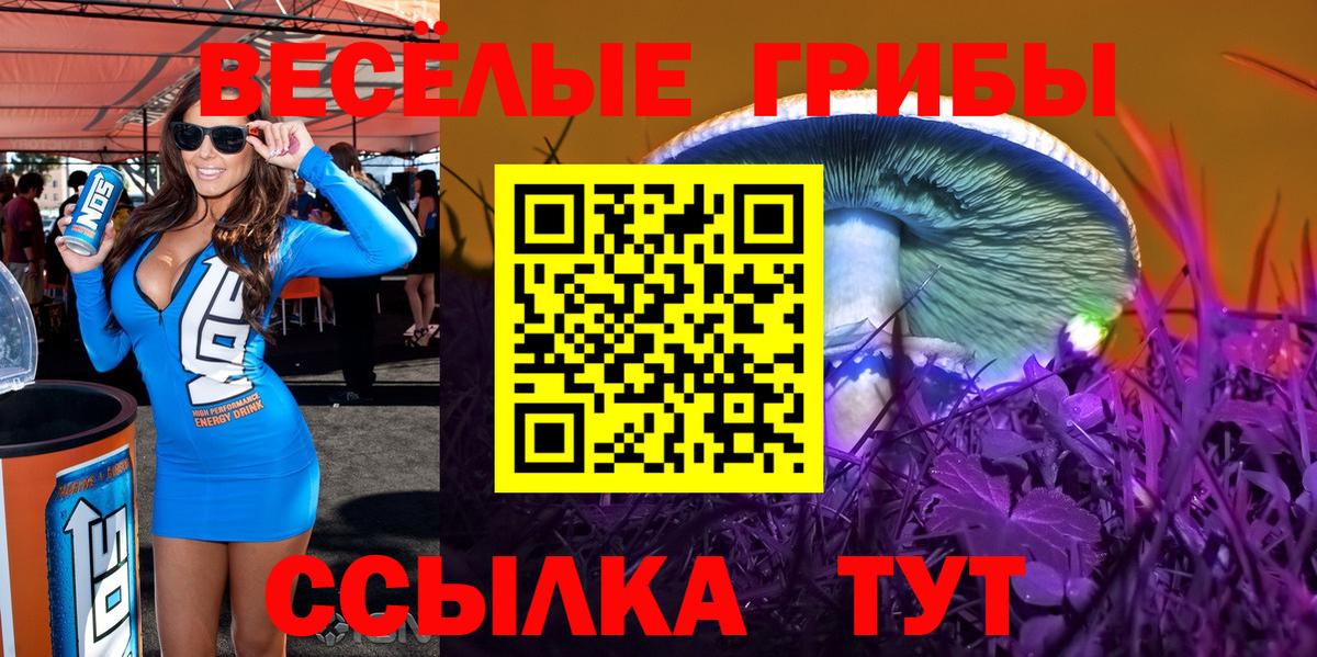 Псилоцибиновые грибы мицелий  Псилоцибиновые грибы ЛСД  Вход с VPN  Гусев 